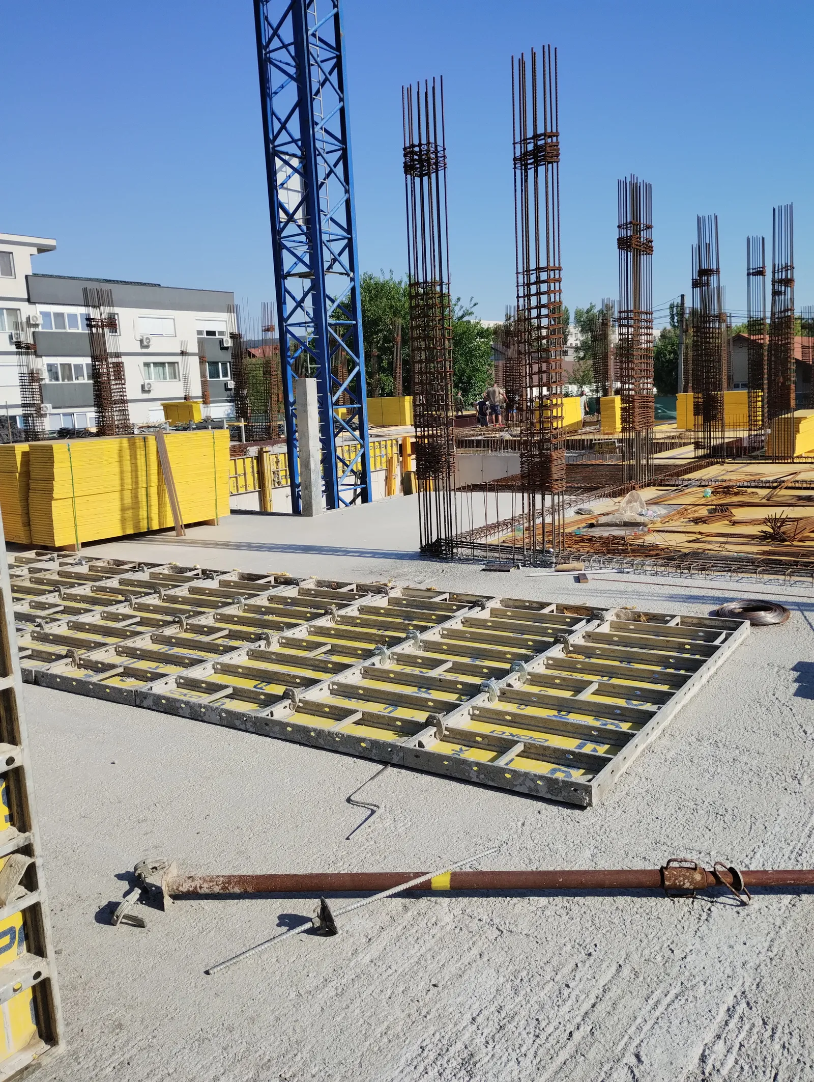 Bloc Str Tornadei -1+6 Etaje — Management Proiect